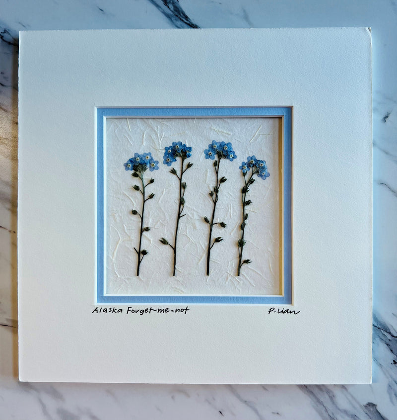 Iceworm Botanical Collection