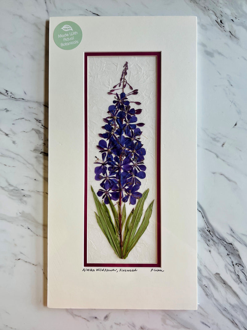 Iceworm Botanical Collection