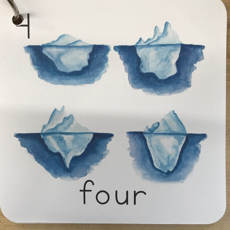 Alaska Counting Cards