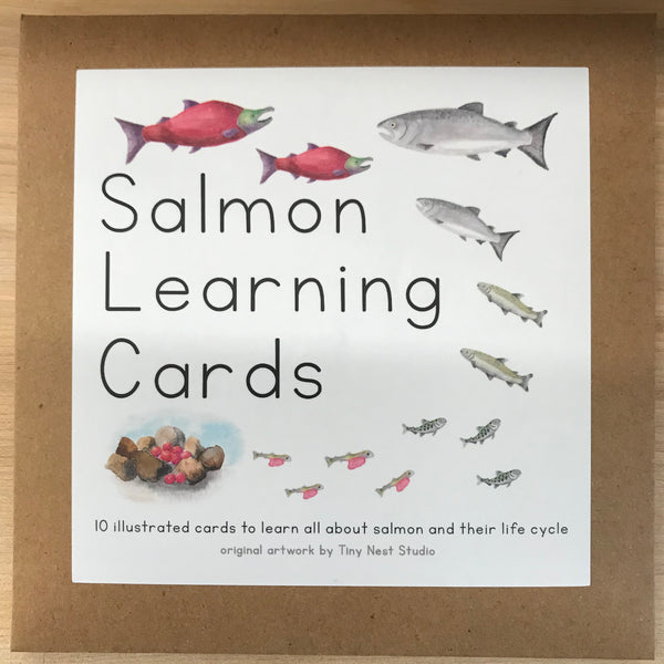 Salmon Learning Cards