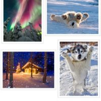 Alaska Holiday Card Pack