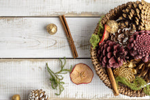 Northern Lights Fireside Cone-Pourri