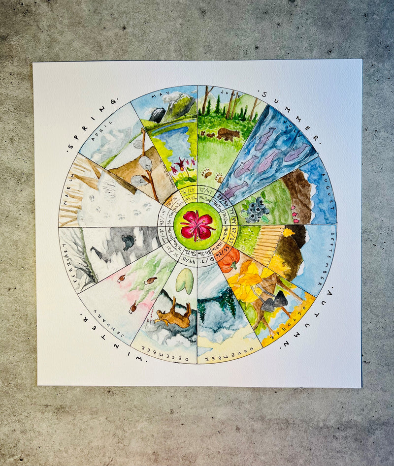 Year in Alaska Phenology Wheel