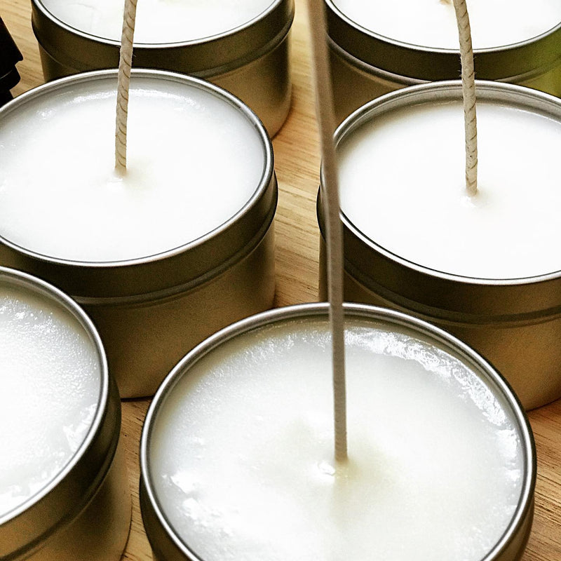 Twin Birch Soy Candle 6 oz